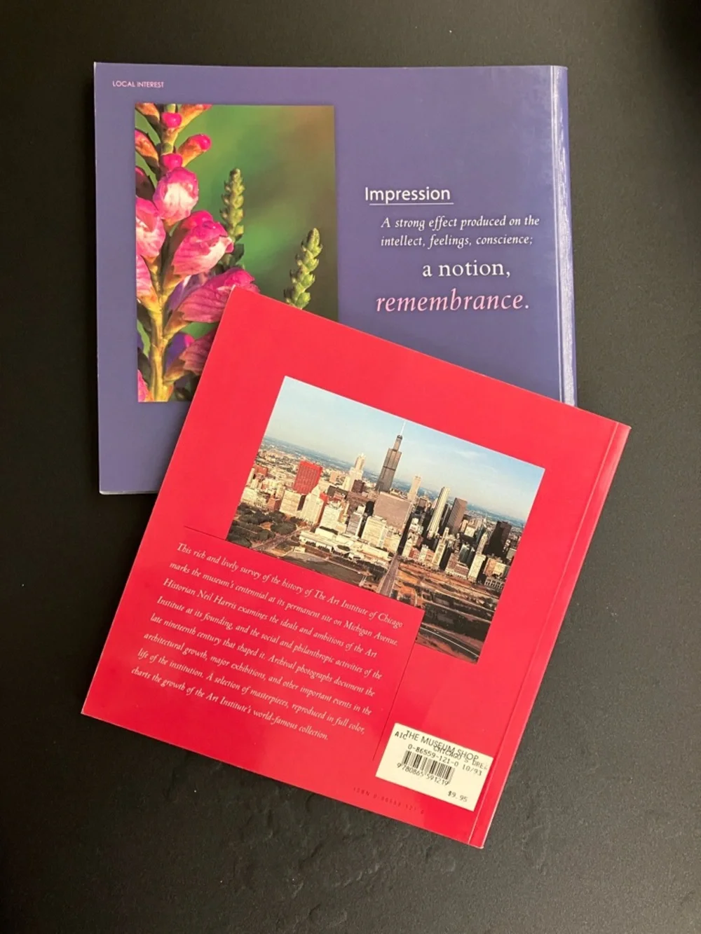 Chicago Art & Photography Bundle 2 Paperback Books City History Memorabilia